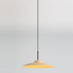 Contemporary Nordic Disc Round Glass Iron LED Pendant Light For Living Room