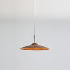 Contemporary Nordic Disc Round Glass Iron LED Pendant Light For Living Room