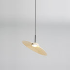 Contemporary Nordic Disc Round Glass Iron LED Pendant Light For Living Room