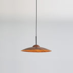 Contemporary Nordic Disc Round Glass Iron LED Pendant Light For Living Room