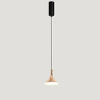 Contemporary Scandinavian Round Cone Cylinder Acrylic Aluminum LED Pendant Light For Living Room