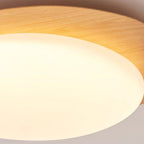 Contemporary Scandinavian Pebble Oval Acrylic Iron LED Flush Mount Ceiling Light For Bedroom
