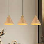 Modern Minimalist Cone Cylinder Ball Sector Liftable Fabric Solid Wood Iron 1-light Pendant Light for Living Room