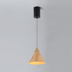 Modern Minimalist Cone Cylinder Ball Sector Liftable Fabric Solid Wood Iron 1-light Pendant Light for Living Room