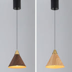Modern Minimalist Cone Cylinder Ball Sector Liftable Fabric Solid Wood Iron 1-light Pendant Light for Living Room