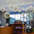 Contemporary Nordic Ball Dandelion Stainless Steel LED Pendant Light for Dining Room Lumendat