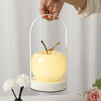 Contemporary Creative Rechargeable Iron Glass Apple Portable LED Table Lamp Night Light For Bedside Lumendat