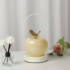Contemporary Creative Rechargeable Iron Glass Apple Portable LED Table Lamp Night Light For Bedside Lumendat