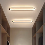 Modern Minimalist Iron Silica Elliptical Strip LED Flush Mount Ceiling Light For Hallway