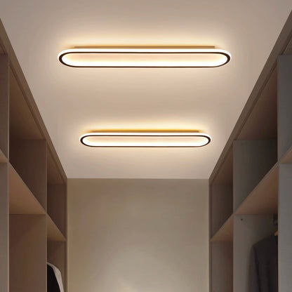 Modern Minimalist Iron Silica Elliptical Strip LED Flush Mount Ceiling Light For Hallway