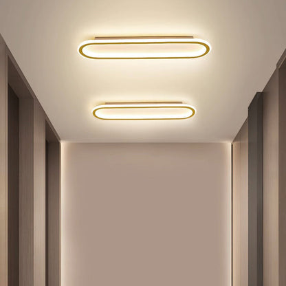 Modern Minimalist Iron Silica Elliptical LED Flush Mount Ceiling Light for Hallway