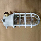 Contemporary Industrial Waterproof Aluminum Alloy Glass Cylinder Cage 1-Light Semi-Flush Mount Ceiling Light For Outdoor Patio Lumendat