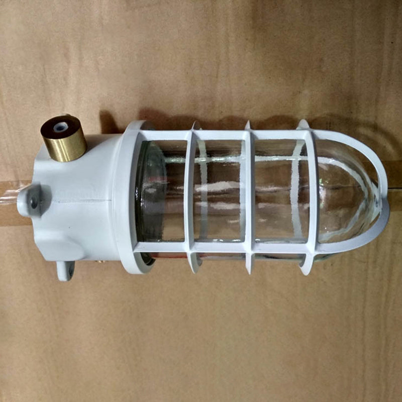 Contemporary Industrial Waterproof Aluminum Alloy Glass Cylinder Cage 1-Light Semi-Flush Mount Ceiling Light For Outdoor Patio Lumendat