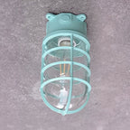 Contemporary Industrial Waterproof Aluminum Alloy Glass Cylinder Cage 1-Light Semi-Flush Mount Ceiling Light For Outdoor Patio Lumendat