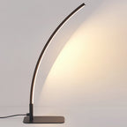 Modern Minimalist USB Curved Iron Aluminum LED Desk Lamp For Study Lumendat