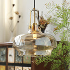 Modern Transitional Metal Glass Round 1-light Pendant Light for Dining Room