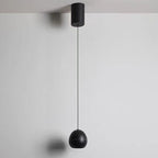Modern Simplicity Aluminum Egg Liftable Adjustable Focus LED Pendant Light For Bedside