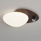 Contemporary Creative Iron Acrylic Resin Cobblestone Ball LED Flush Mount Ceiling Light For Bedroom