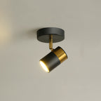 Contemporary Scandinavian Hardware Glass Starry Sky Ball Spotlight 1/2 Light LED Semi-Flush Mount Ceiling Light For Hallway