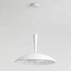 Traditional French Resin PE Wood Hardware Dome Flying Saucer LED Pendant Light For Dining Room