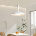 Traditional French Resin PE Wood Hardware Dome Flying Saucer LED Pendant Light For Dining Room