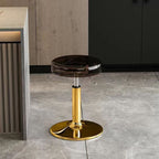 Modern Luxury Acrylic Carbon Steel Round Bar Stool For Dining Room DFM-F