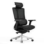 Modern Minimalist Ergonomic High Back Mesh Executive Desk Chair - Multi-Function Tilt 3D Armrests Office Chair For Home Office Lumendat