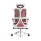 Modern Minimalist Breathable Mesh Ergonomic Desk Chair - Adjustable Lumbar Support Headrest Office Chair For Home Office Lumendat
