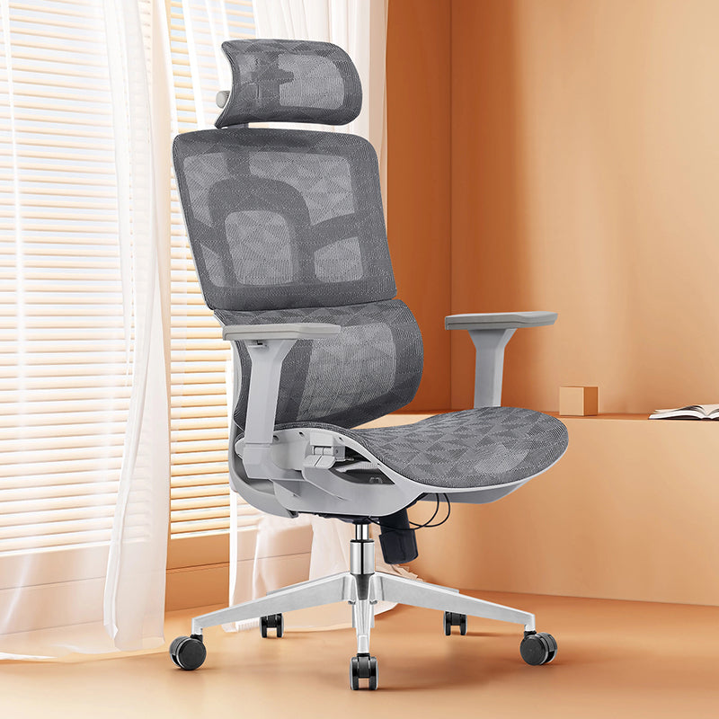 Modern Ergonomic High Back Mesh Grey Executive Office Chair - Adjustable 3D Armrests Lumbar Support Swivel Desk Chair For Home Office Lumendat
