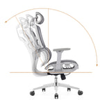 Modern Ergonomic High Back Mesh Grey Executive Office Chair - Adjustable 3D Armrests Lumbar Support Swivel Desk Chair For Home Office Lumendat