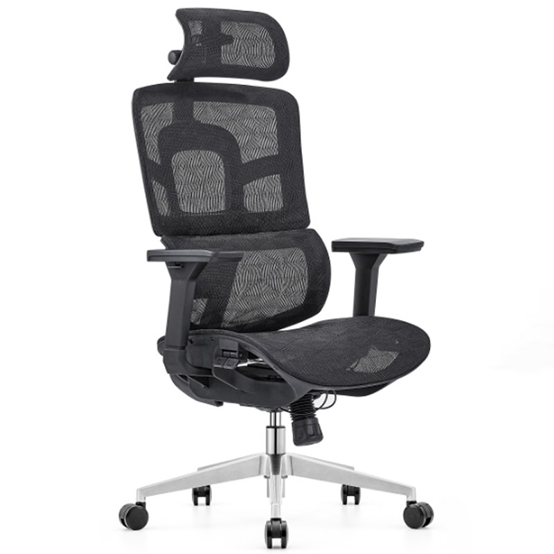 Modern Minimalist High Back Premium Ergonomic Office Chair - 3D Headrest Adjustable Lumbar Support Desk Chair For Home Office Lumendat