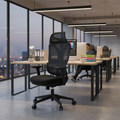 Modern Heavy Duty Ergonomic High Back Mesh Office Chair - SGS Certified Gas Lift 3D Armrests Desk Chair For Home Office Lumendat