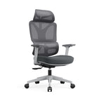 Modern Grey Ergonomic High Back Mesh Office Chair - Adjustable Headrest Lumbar Support Desk Chair For Home Office Lumendat