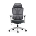 Modern Grey Ergonomic High Back Mesh Office Chair - Adjustable Headrest Lumbar Support Desk Chair For Home Office Lumendat
