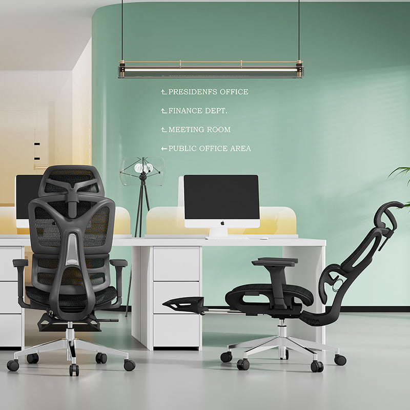 Modern Minimalist High Back Executive Breathable Mesh Ergonomic Office Chair - Adjustable Headrest Lumbar Support Desk Chair For Home Office Lumendat