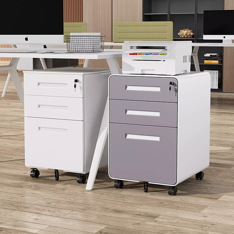 Modern Minimalist Steel Curved Rectangular Storage Cabinet With 2/3 Drawers For Home Office DFM-F