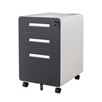 Modern Minimalist Steel Curved Rectangular Storage Cabinet With 2/3 Drawers For Home Office DFM-F