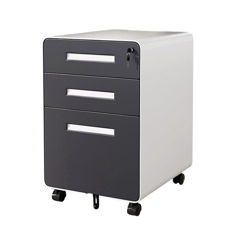 Modern Minimalist Steel Curved Rectangular Storage Cabinet With 2/3 Drawers For Home Office DFM-F