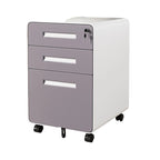 Modern Minimalist Steel Curved Rectangular Storage Cabinet With 2/3 Drawers For Home Office DFM-F