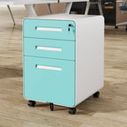 Modern Minimalist Steel Curved Rectangular Storage Cabinet With 2/3 Drawers For Home Office DFM-F