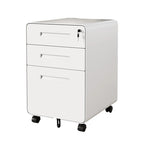 Modern Minimalist Steel Curved Rectangular Storage Cabinet With 2/3 Drawers For Home Office DFM-F