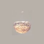 Modern Minimalist Feather Iron 1-Light Heart Shade Pendant Light for Living Room