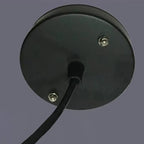 Contemporary Industrial Colorful Bottle Resin 1-light Pendant Light Lumendat