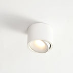 Modern Minimalist Round Spotlight Adjustable LED Flush Mount Ceiling Light BulbSquare