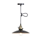 Industrial Iron Multicolor Bowl 1-light Pendant Light BulbSquare