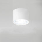Nordic Cylinder Spotlight LED Flush Mount Ceiling Light BulbSquare