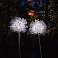 Solar Dandelion Aluminum Wire Globe Light LED Outdoor Waterproof Luminous Garden Insert Ground Landscape Light Lumendat
