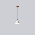 Modern Minimalist Cone Iron Solid Wood Grain 1-Light Pendant Light For Living Room