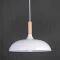 Modern Metal Wooden Top 1-light Dome Pendant Light Lumendat