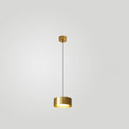 Modern Minimalist Round Head Iron LED Pendant Light